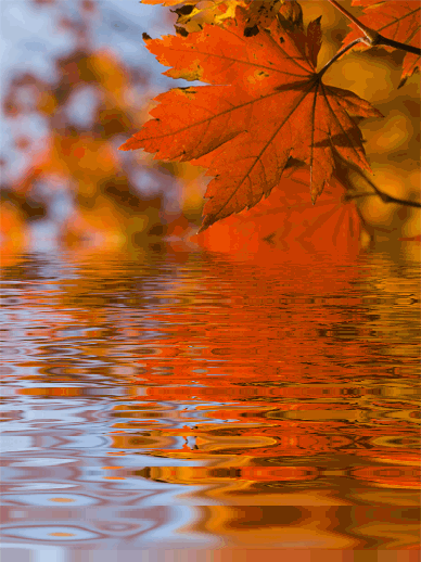 Poema de Otoño