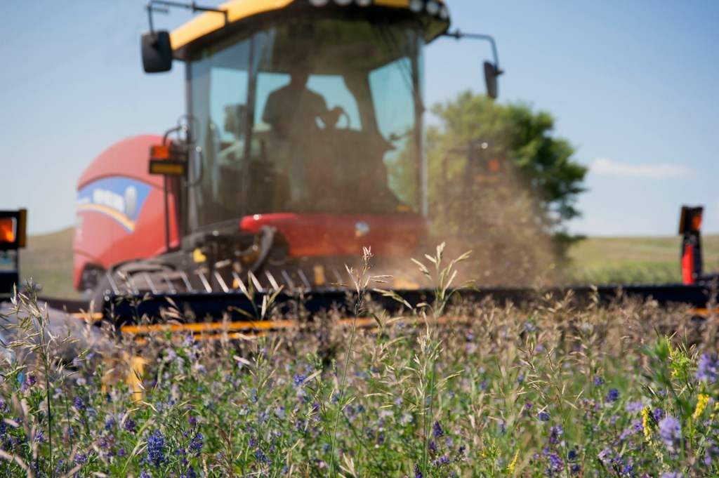 la segadora del tiempo. El tiempo siega en silencio