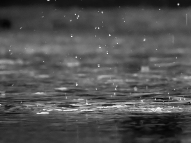 Lenguaje de lluvia