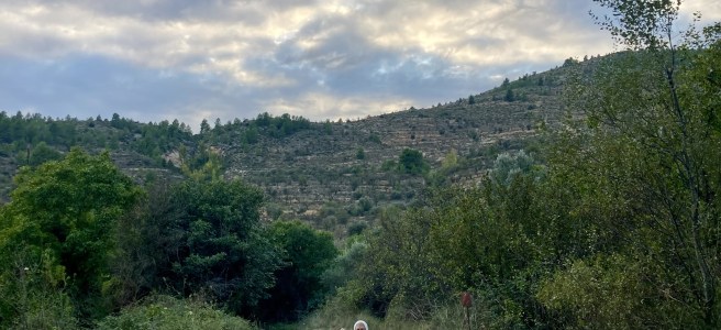 Mi madre, Teófila Moreno Rodríguez