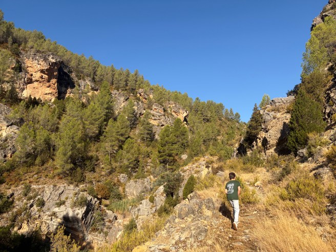 Los Ceñajos
